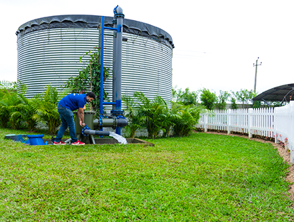 water harvesting system